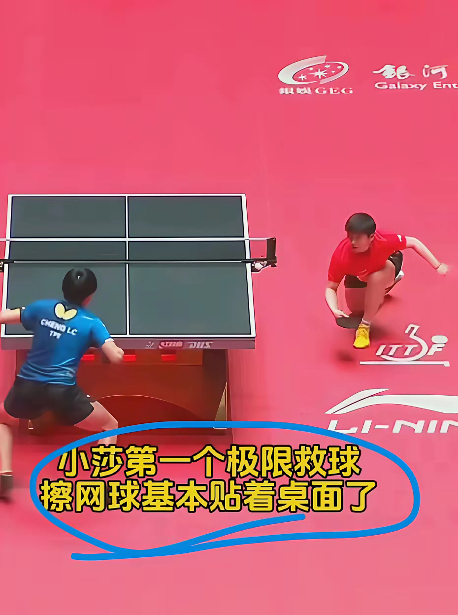 中国羽毛球队翻盘法国羽毛球队，马琳统治全场的简单介绍