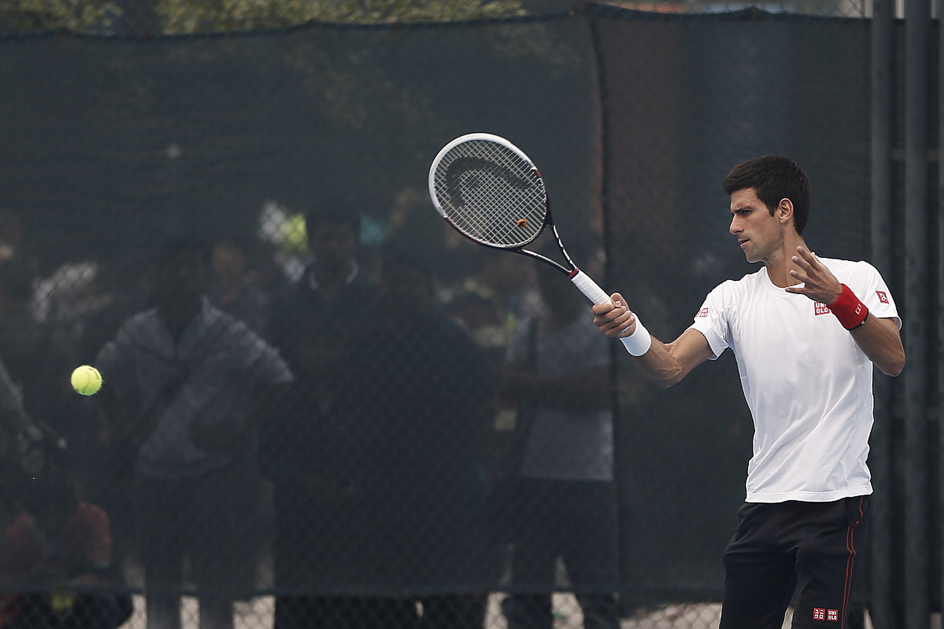 德国网球队绝杀澳大利亚网球队，德约科维奇惊艳世界的简单介绍