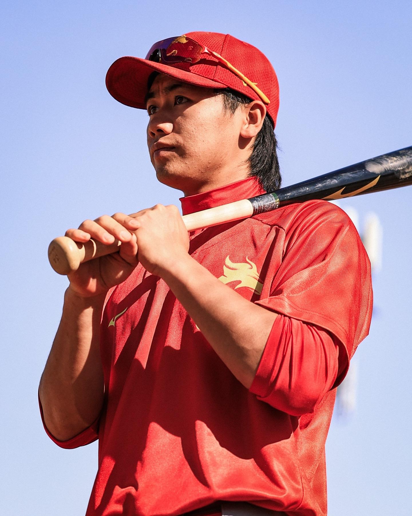 棒球热度飙升，网友热议不断的简单介绍