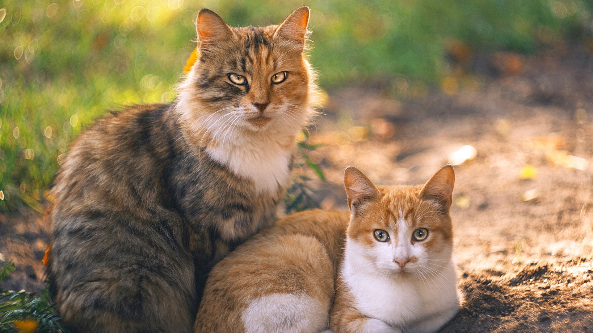 东决关键战之夜，伊萨克大场面先生破局封神