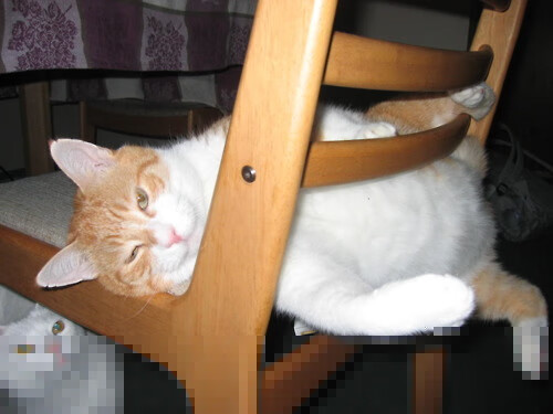 进攻与防守的极致，三笘薰高能输出与巴拉圭锁死皇马的战术揭秘