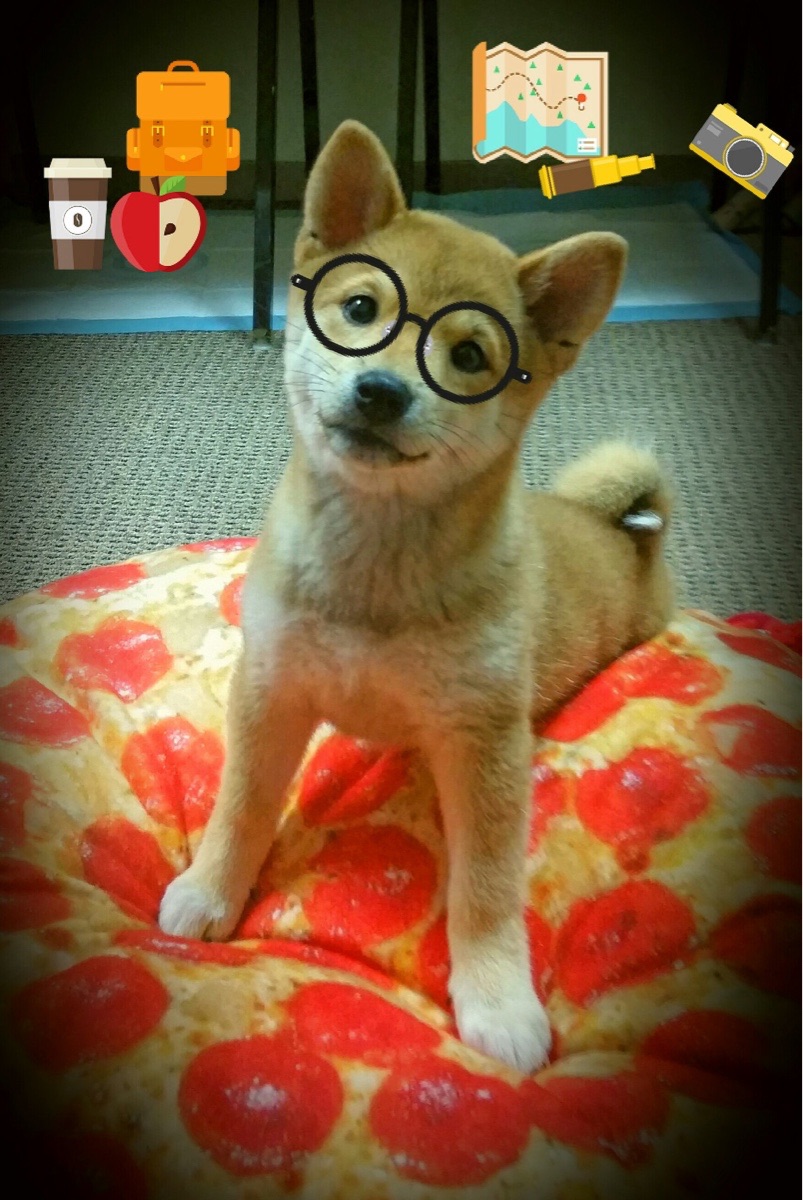 利拉德关键先生闪耀,骑士狂胜黄蜂展统治力