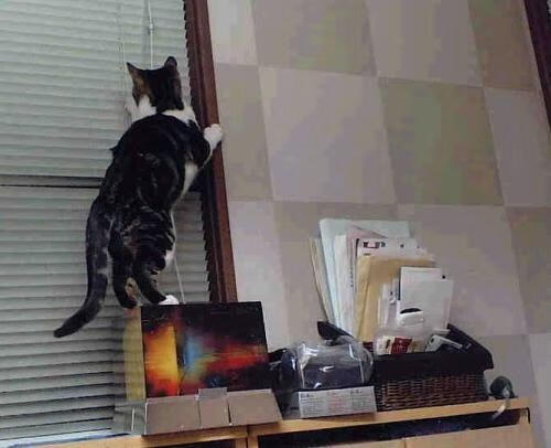 萨拉赫的闪电时刻，当埃及法老让摩纳哥的压制化为徒劳