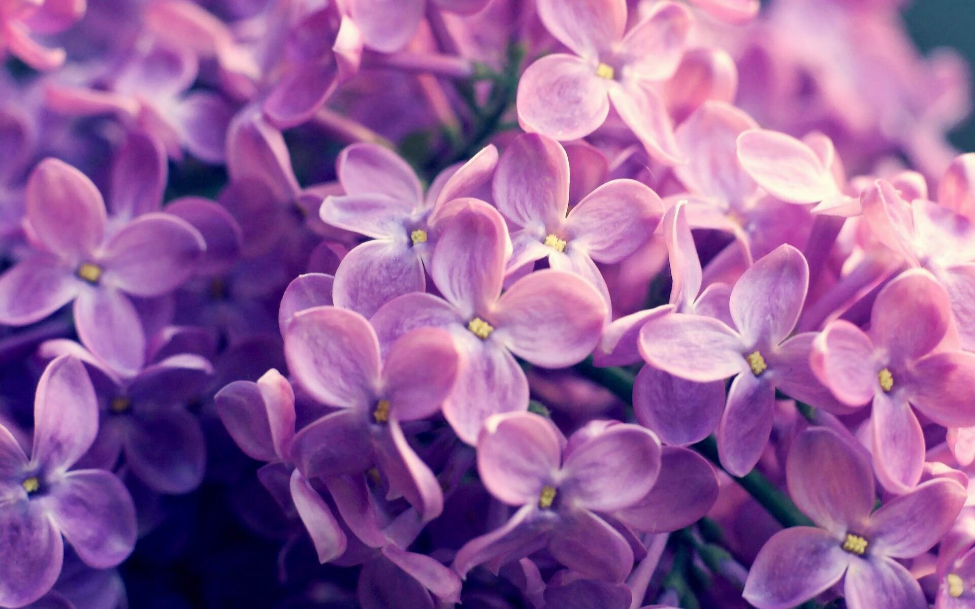 加时鏖战,帕尔默独闯龙潭!哥伦比亚绝境逆转几内亚