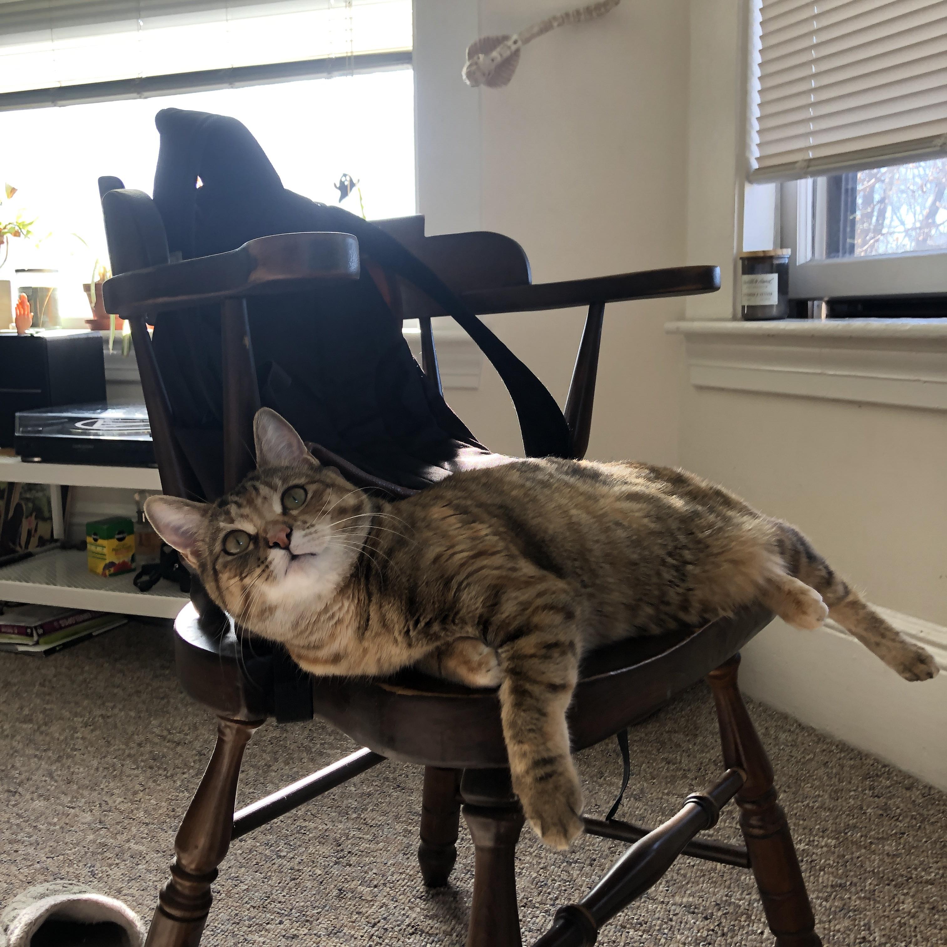 阿尔瓦雷斯决胜时刻定乾坤,切尔西点球大战从日本带走胜利