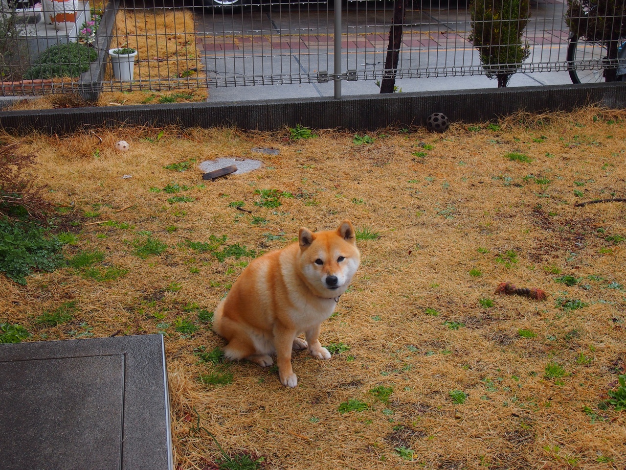 猛龙连续得分狂潮压制魔术,恩比德关键先生定胜局