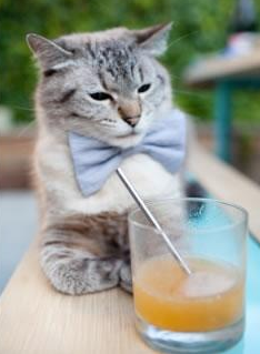 双城记,东方破晓与西方封神的篮球启示录